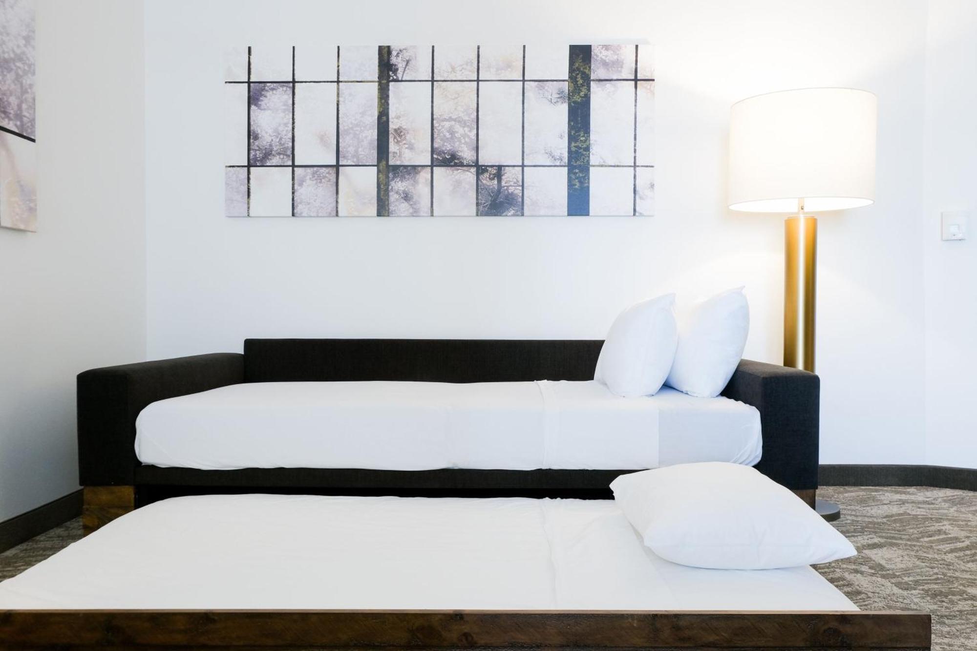 Springhill Suites By Marriott Dallas Richardson/Plano Kültér fotó